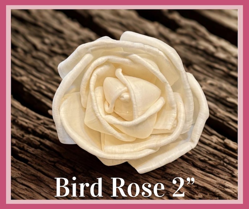 Sola-träblommor med rottingrör, dekorativa accenter, aromaterapidiffusortillbehör Bird Rose 2”