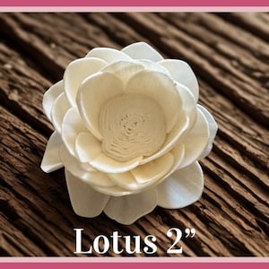 Sola-träblommor med rottingrör, dekorativa accenter, aromaterapidiffusortillbehör Lotus 2”