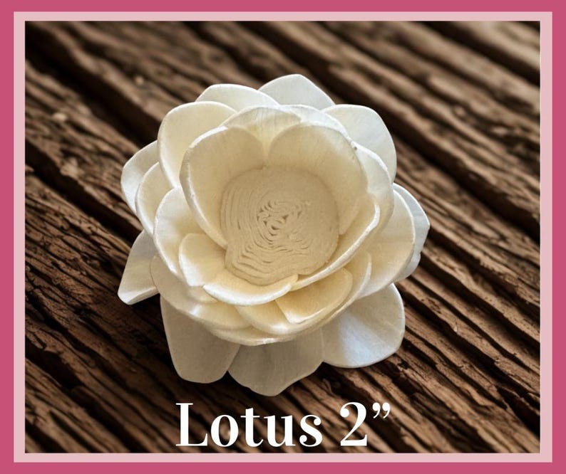 Sola-träblommor med rottingrör, dekorativa accenter, aromaterapidiffusortillbehör Lotus 2”