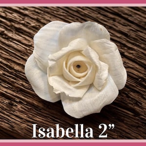 Sola-träblommor med rottingrör, dekorativa accenter, aromaterapidiffusortillbehör Isabella 2”