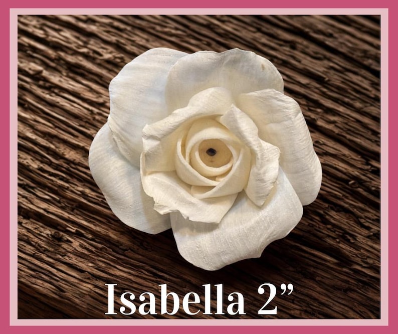 Sola-träblommor med rottingrör, dekorativa accenter, aromaterapidiffusortillbehör Isabella 2”