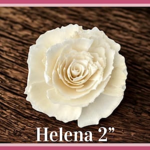 Sola-träblommor med rottingrör, dekorativa accenter, aromaterapidiffusortillbehör Helena 2”