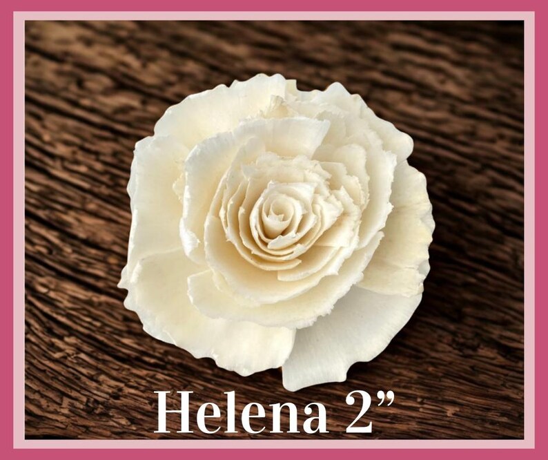 Sola-träblommor med rottingrör, dekorativa accenter, aromaterapidiffusortillbehör Helena 2”