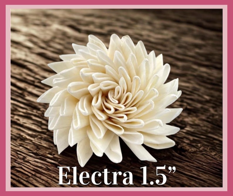 Sola-träblommor med rottingrör, dekorativa accenter, aromaterapidiffusortillbehör Electra 1.5”