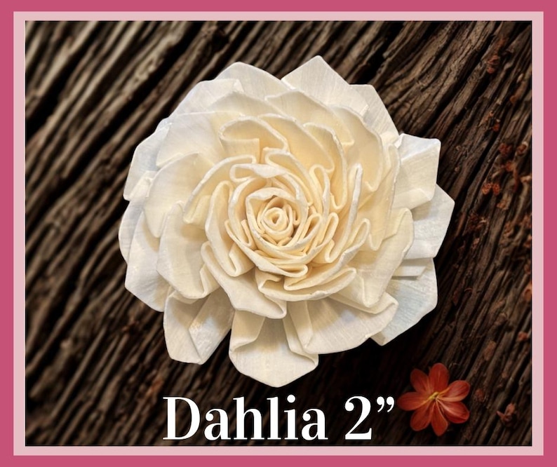 Sola-träblommor med rottingrör, dekorativa accenter, aromaterapidiffusortillbehör Dahlia 2”