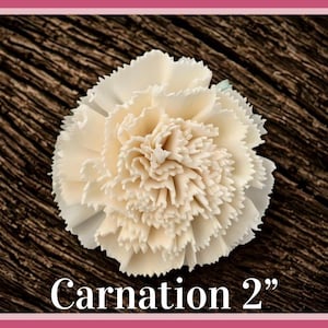 Sola-träblommor med rottingrör, dekorativa accenter, aromaterapidiffusortillbehör Carnation 2”
