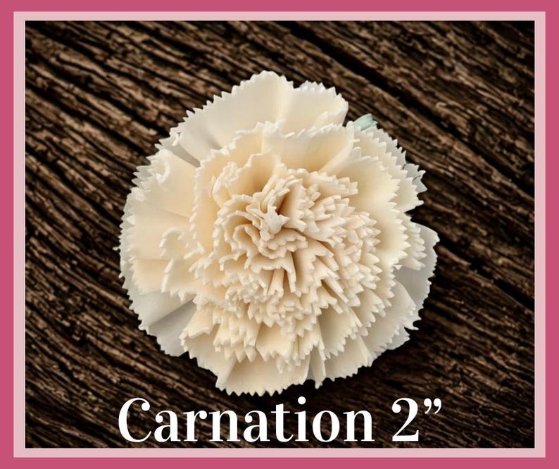 Sola-träblommor med rottingrör, dekorativa accenter, aromaterapidiffusortillbehör Carnation 2”