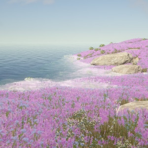 Puede incluir: Una vista panorámica de una costa con un campo de flores silvestres moradas en primer plano y una masa de agua en el fondo.