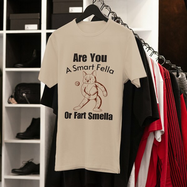 Are You A Smart Fella Or Fart Smella? Retro Cartoon T Shirt, Weird T Shirt, Meme T Shirt, Trash Panda T Shirt, Unisexcoton biologique