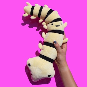 Spine Plushie Got Your Back I Heart Guts | Flexy Spinal Column Pillow Backbone Surgery Cute Recovery Scoliosis Gift Orthopedic Chiropractic