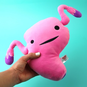 Uterus Plushie Womb Service I Heart Guts | Plush Organ Get Well Mother&#39;s Day Gift, New Mom Pregnancy Pillow Endometriosis Hysterectomy