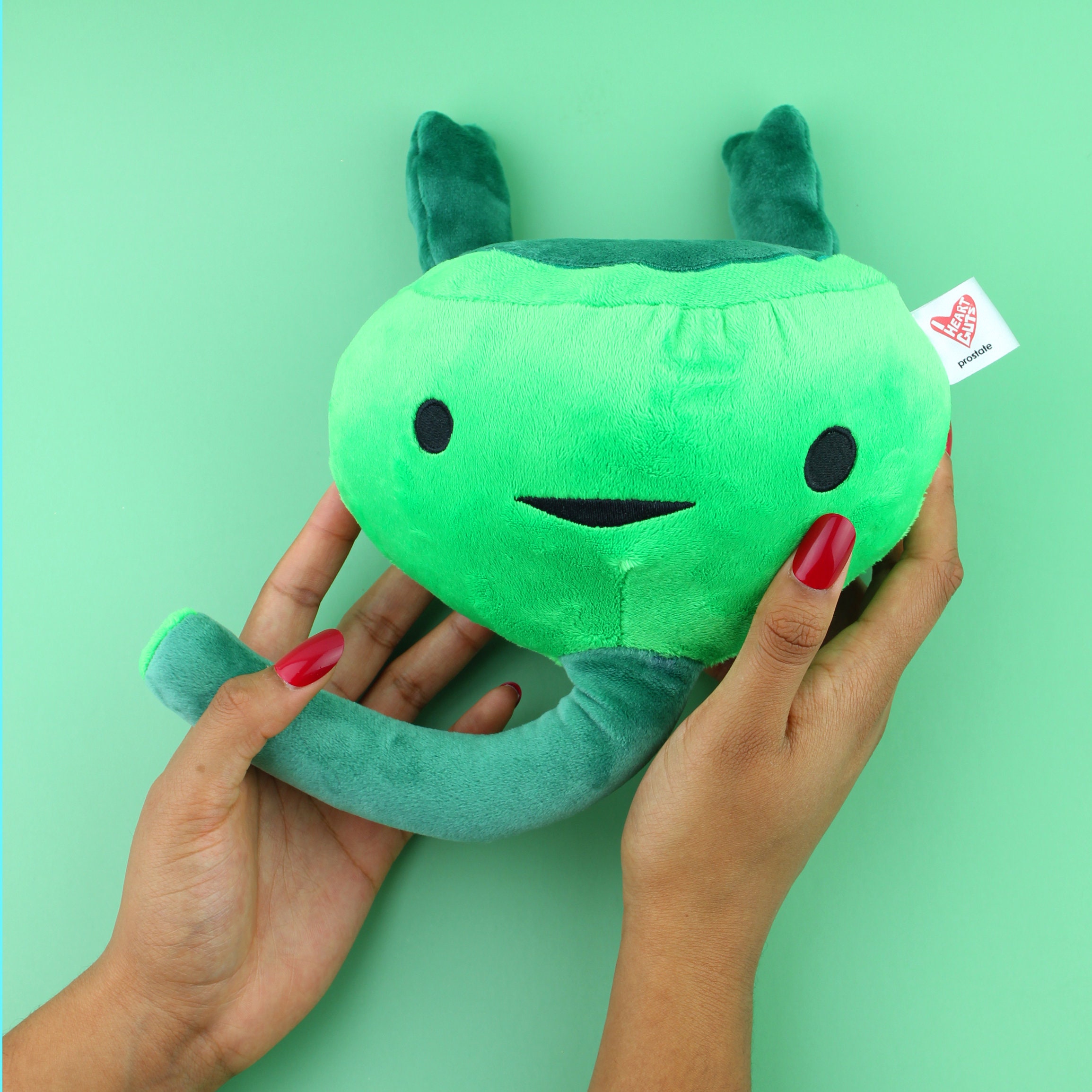 Prostate Plushie Prostate Surgery Gag Gift, Urologist Plush Organ ...