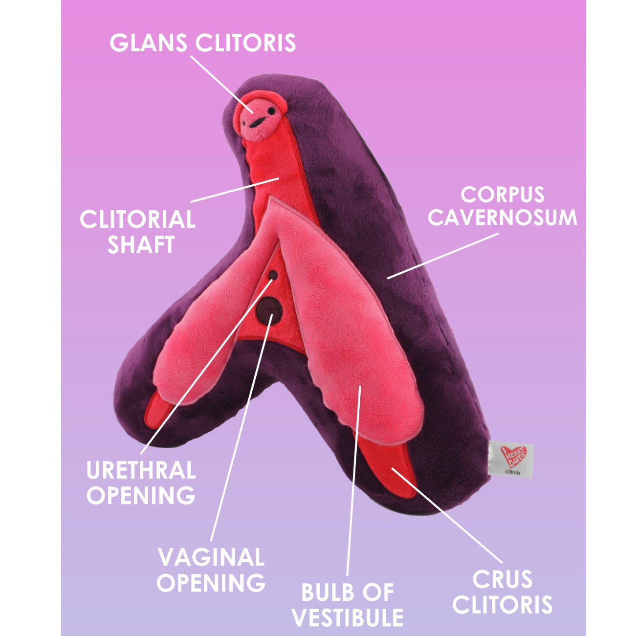 Clitoris Plushie I Heart Guts Organ Plush Stuffed Animal