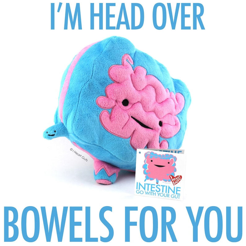 Intestine Plush Go With Your Gut Plushie Organ Stuffed Toy, Get Well