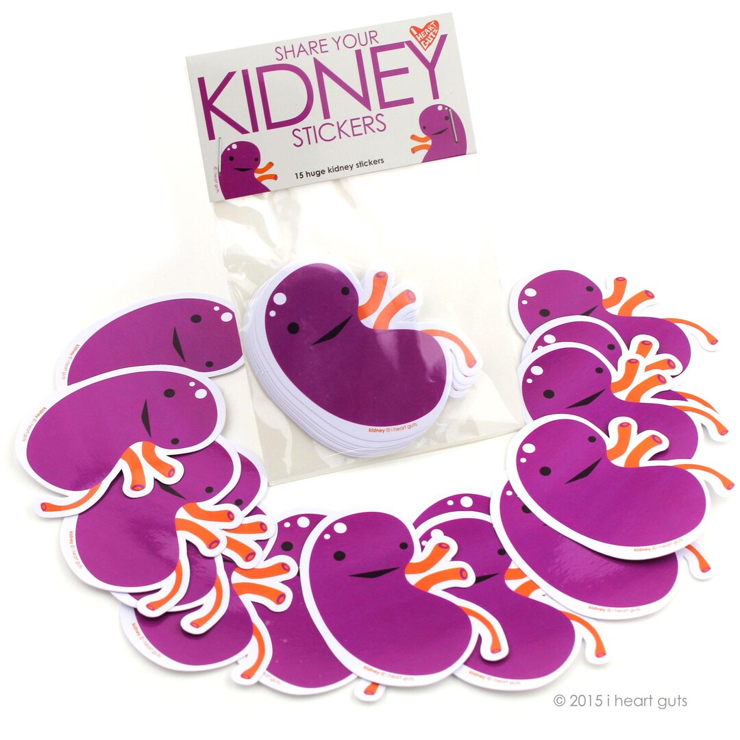 Pack of Kidney Stickers - Set of 15 - Etsy
