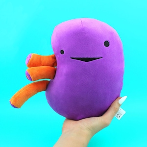 Kidney Plushie | Get Well Transplant Organ Donor Stuffed Toy Cute Surgery Recovery Gift Nephritis Dialysis Plush Left Right Kidney Failure