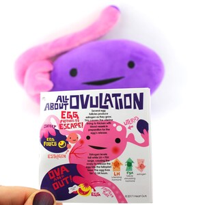 ¡Peluche de ovario Ova Achiever! / Almohada de peluche con forma de órgano I Heart Guts para apoyar el síndrome de ovario poliquístico (SOP), el cáncer de ovario, la FIV, la cirugía de ovulación, la recuperación de óvulos y el regalo para quienes buscan concebir. imagen 6