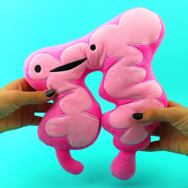 Colon Plushie You Move Me I Heart Guts | Organ Stuffed Toy Pillow Surgery Recovery Get Well Cancer Support Funny IBS IBD Colitis Humor