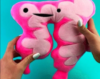 Colon Plushie You Move Me I Heart Guts | Organ Stuffed Toy Pillow Surgery Recovery Get Well Cancer Support Funny IBS IBD Colitis Humor
