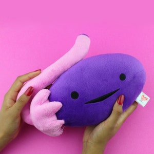 Puede incluir: Un ri&ntilde;&oacute;n de felpa morado con una cara sonriente y un ur&eacute;ter de felpa rosa unido a &eacute;l. El ri&ntilde;&oacute;n est&aacute; en manos de una persona. El juguete de felpa tiene una etiqueta de Heart Craft.