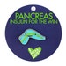 Pancreas Enamel Lapel Pin | Cute Diabetic Pins, T1D Diabetes Awareness ...