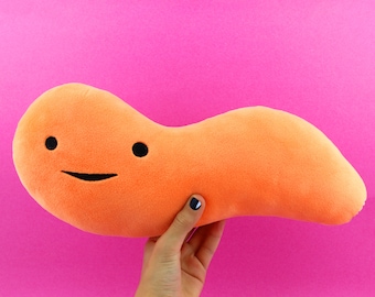 Appendix Plushie | Get Well Appendectomy Gift, Funny Organ Pillow