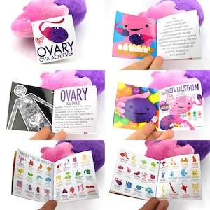 ¡Peluche de ovario Ova Achiever! / Almohada de peluche con forma de órgano I Heart Guts para apoyar el síndrome de ovario poliquístico (SOP), el cáncer de ovario, la FIV, la cirugía de ovulación, la recuperación de óvulos y el regalo para quienes buscan concebir. imagen 8