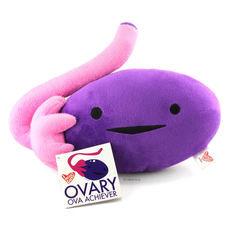 ¡Peluche de ovario Ova Achiever! / Almohada de peluche con forma de órgano I Heart Guts para apoyar el síndrome de ovario poliquístico (SOP), el cáncer de ovario, la FIV, la cirugía de ovulación, la recuperación de óvulos y el regalo para quienes buscan concebir. imagen 5
