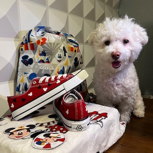 May include: Red canvas shoes with Mickey Mouse ears printed on them. The shoes are sitting on a white towel with Mickey Mouse designs. A white dog is sitting behind the shoes. The dog is looking at the camera.