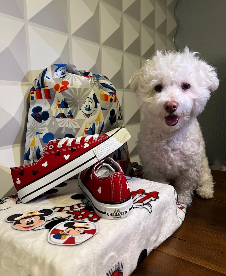 May include: Red canvas shoes with Mickey Mouse ears printed on them. The shoes are sitting on a white towel with Mickey Mouse designs. A white dog is sitting behind the shoes. The dog is looking at the camera.