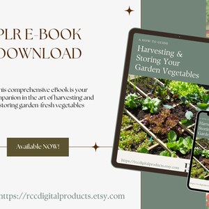 Könnte beinhalten: Ein digitaler Download für ein E-Book mit dem Titel "Ernten und Lagern Ihres Gartengemüses". Das Cover zeigt eine Nahaufnahme eines Hochbeetes mit verschiedenen wachsenden Gemüsesorten. Der Text "Ein Praxisleitfaden" befindet sich oben auf dem Cover. Das E-Book ist jetzt zum Download verfügbar.