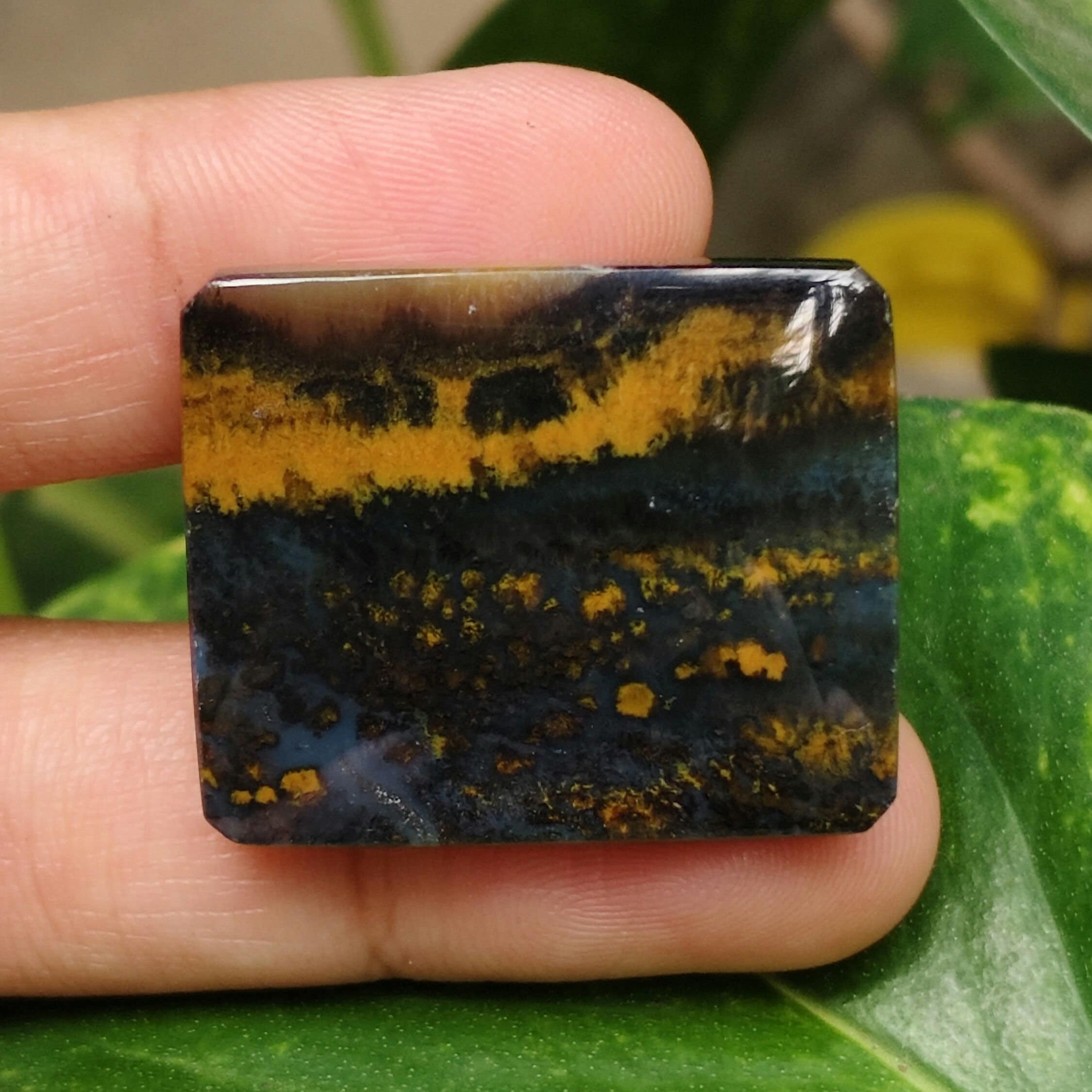 マルチカラー プルーム オパール化木 || 化石木 || サイズ: 27x22x5,8