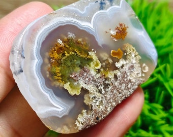 Polished Plume Flower Agate Slab: Multicolored Opalized Wood, Crystal Healing