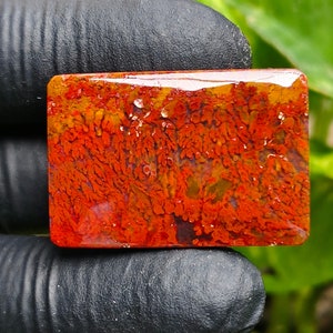 May include: A rectangular piece of red agate with a dendritic pattern. The agate has a polished surface and is a vibrant orange and red color.