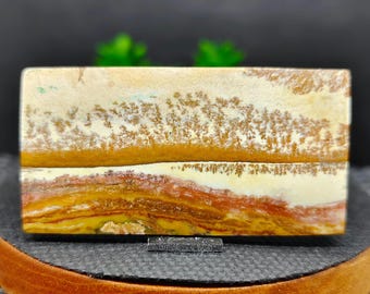 Landscape Scenic  opalized wood | Size 53x27x4.9mm - petrified wood