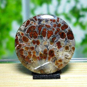 Red. Plume Agate Gemstone - Pattern square (26x26x4.7mm) • stone for pendant