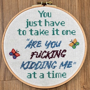 Are You F*CKING Kidding Me - Cross Stitch Pattern - Funny - NSFW