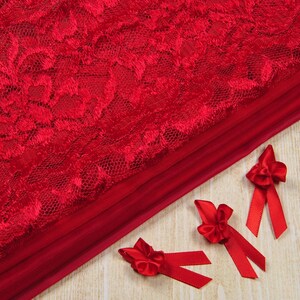 Dark Red Bra Making Fabric and All Over Lace Kit