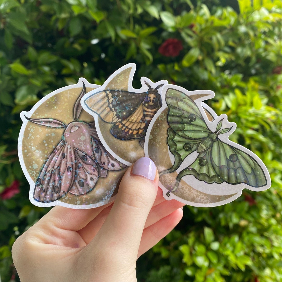 Moon Moth Sticker Holographic Vinyl Sticker Moths With Moon Phases, Crescent Moon ...