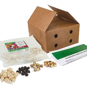May include: A brown cardboard box with a lid open, revealing a set of gardening supplies. The box contains four bags of bulbs and seeds, including white garlic bulbs, black seeds, and brown bulbs. A green sheet with the text "Planting Instructions" is visible in the foreground.