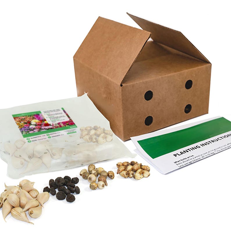 May include: A brown cardboard box with a lid open, revealing a set of gardening supplies. The box contains four bags of bulbs and seeds, including white garlic bulbs, black seeds, and brown bulbs. A green sheet with the text "Planting Instructions" is visible in the foreground.
