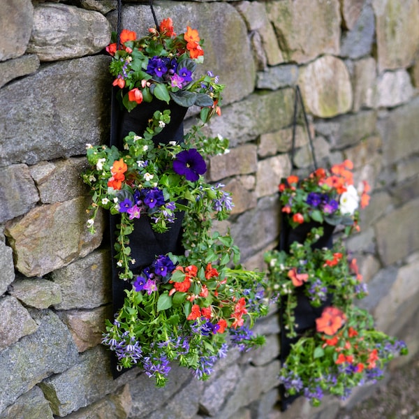 Butterfly or Hummingbird Hanging Flower Planter - Indoor/Outdoor Garden Kit with 3 Pocket Planter, Seeds and Expanding Coco Fiber Soil Block
