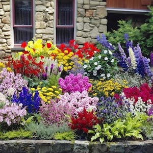 100 Bulbs Butterfly, Bees & Birds Flowers Garden Collection, 4 Varieties, Red, Yellow, Purple, Pink, White Attracts Pollinators Great Gift!