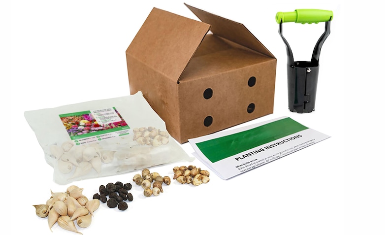 May include: A gardening kit with a brown cardboard box, a green and black planting tool, a bag of bulbs, and a sheet of planting instructions.