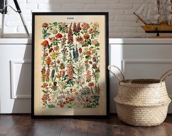 Embrace Nature's Beauty: Vintage Floral Art - Adolphe Millot Prints for Cottagecore Decor, Bedroom Wall Art, and Serene Spaces