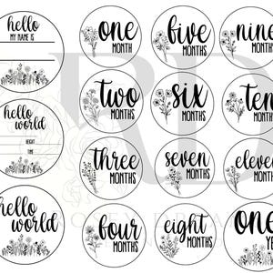 Bébé fille jalon mensuel SVG, étape mensuelle bébé fille tours Svg, cartes numériques jalons bébé, Hello World Svg, un an Svg