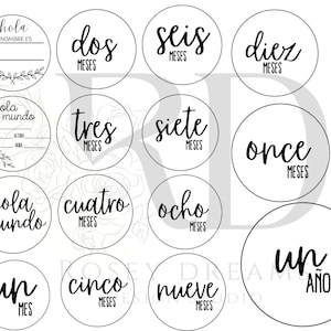 Spaanse baby maandelijkse mijlpalen SVG, Spaanse maandelijkse mijlpalen, Spaanse mijlpalen, Hitos de Bebe, Hitos Mensuales de Bebe en Español