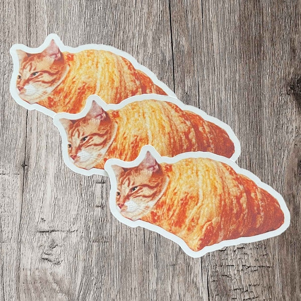 Orange Cat Croissant Sticker Meme Funny