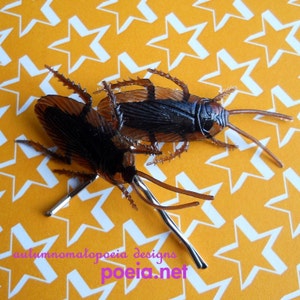 umm gross cockroach hairpins gift under 10 image 3