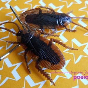 umm gross cockroach hairpins gift under 10 image 1